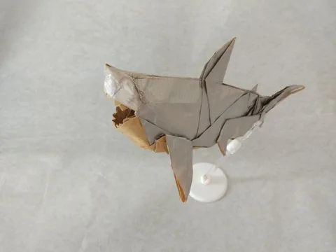 Shark - Little Daddy