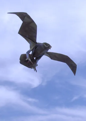 Raptor