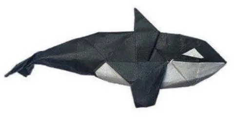 Orca