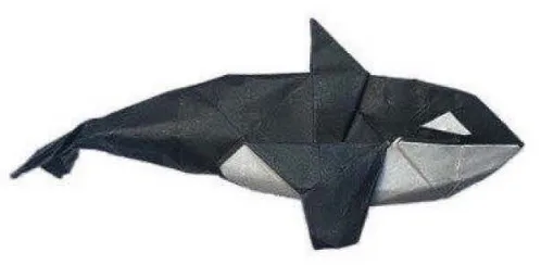 Orca