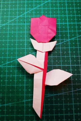 2D rose