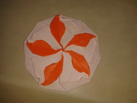 Bauhinia