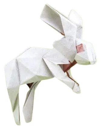 Rabbit 2023