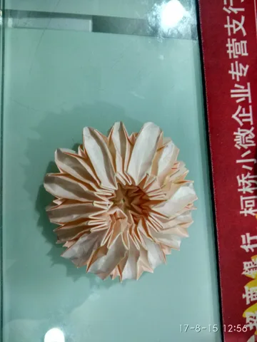 Chrysanthemum