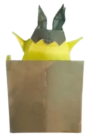 Bunny in a box