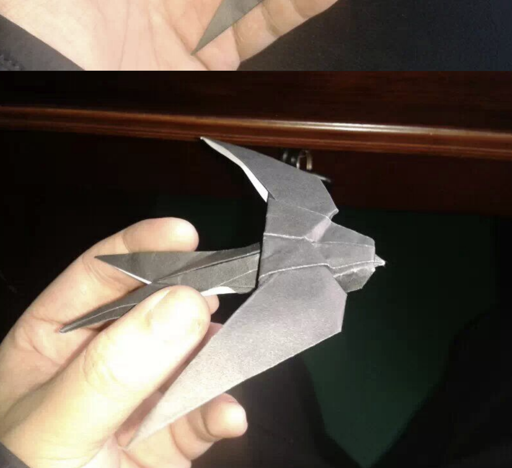 Swallow