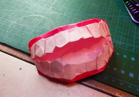 Teeth