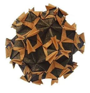 Pointed modular