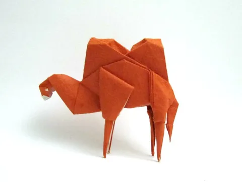Camel