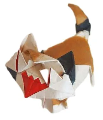 Alley cat