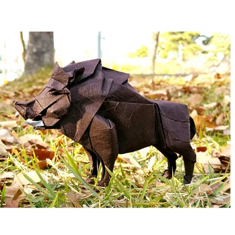 Boar (PD)