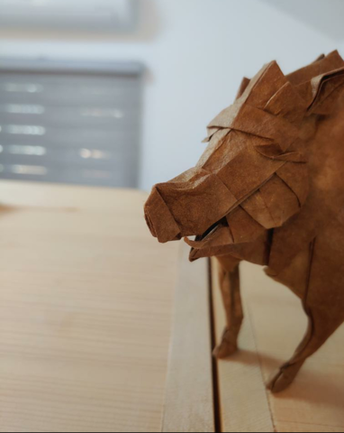 Boar (PD) — паттерн