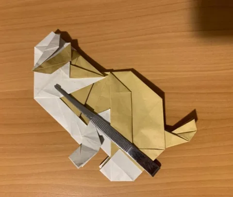 Cat — паттерн