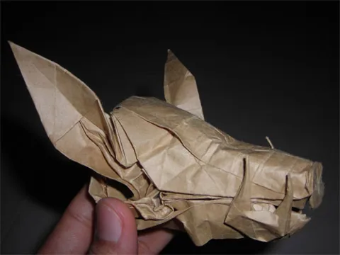Wild boar head