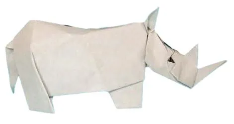 Rhinoceros