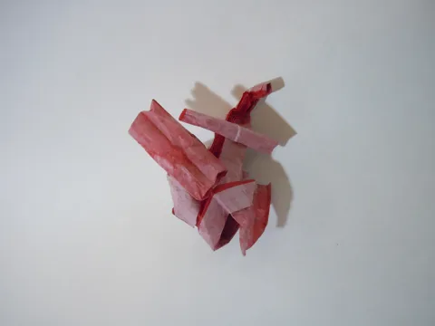 Heart