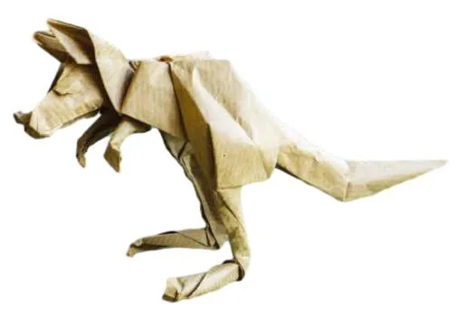 Kangaroo