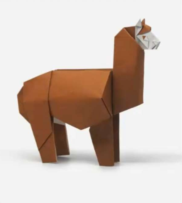 Alpaca