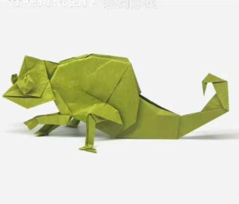 Chameleon␠