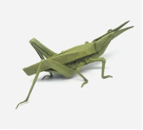 Grasshopper␠