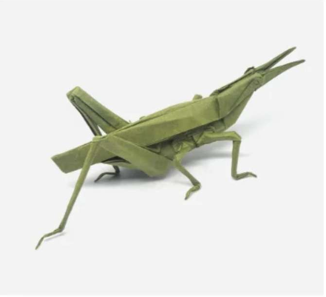 Grasshopper␠