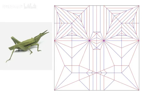 Grasshopper␠ — паттерн