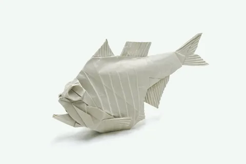 Hatchetfish