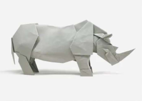 Rhino