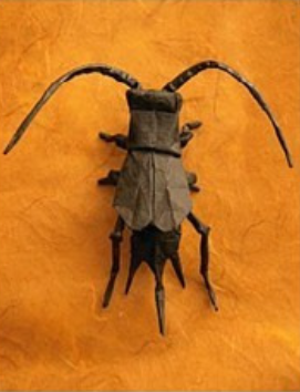 Cricket