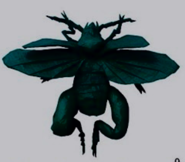 Frog beetle