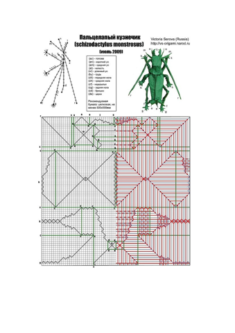 Maize cricket (Schizodactylus monstrosus) — паттерн