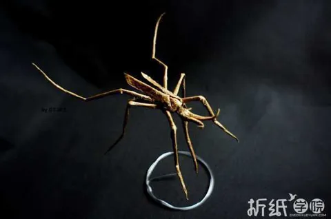 Mosquito