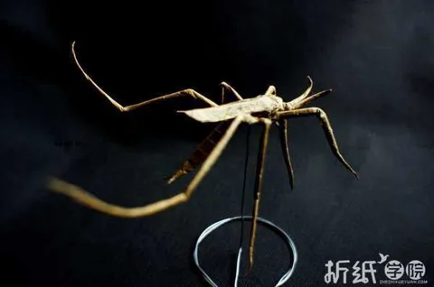 Mosquito