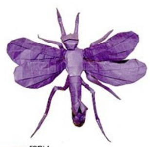 Scorpionfly (Panorpa communis)
