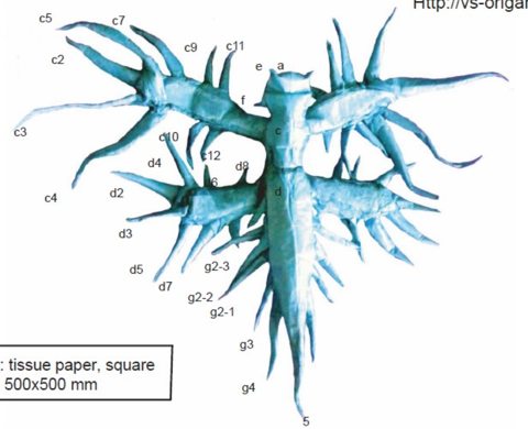 Sea slug (Glaucus atlanticus)