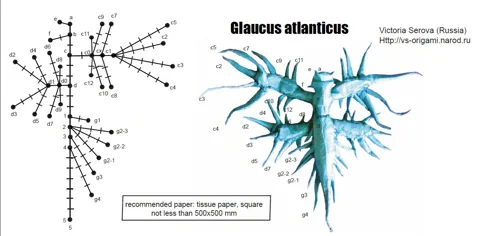 Sea slug (Glaucus atlanticus) — паттерн