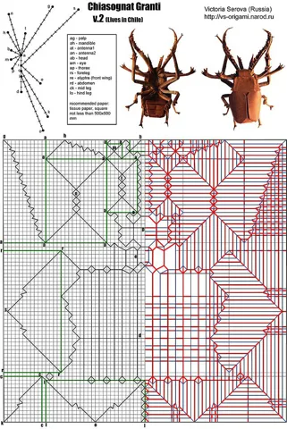 Stag beetle (Chiasognathus Grantii) — паттерн