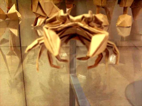 Ghost crab