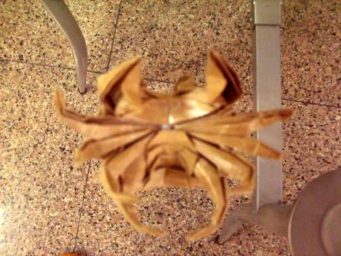 Ghost crab