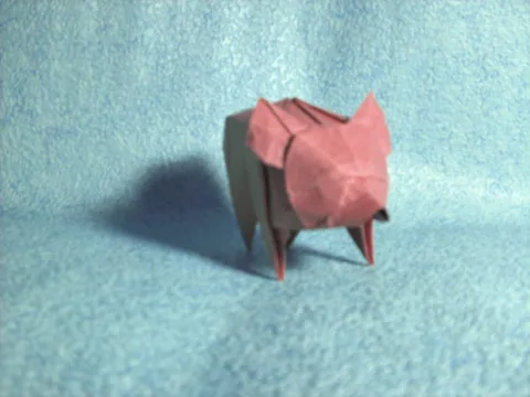 Pig