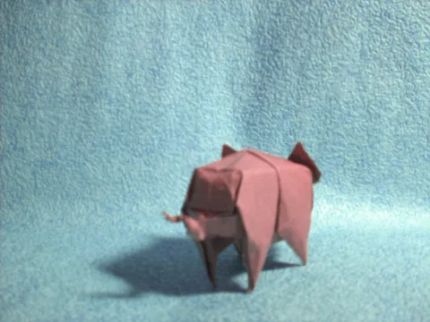 Pig