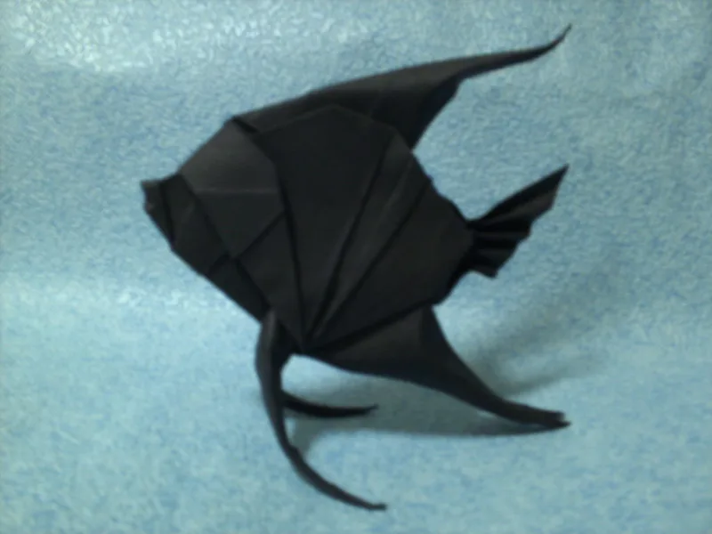 Pterophyllum leopoldi