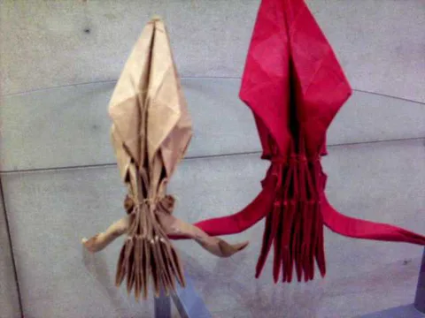 Squid