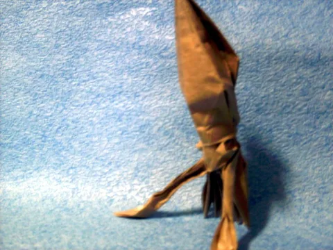 Squid