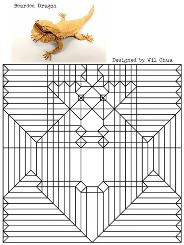 Bearded Dragon — паттерн