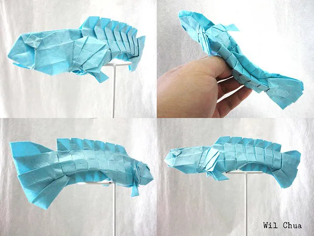Blue Cod