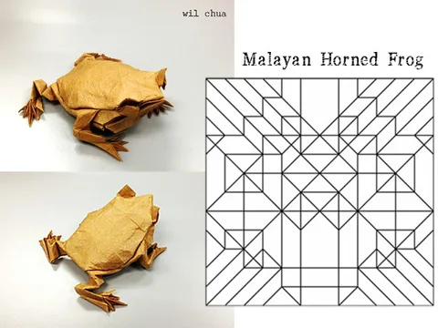 Malayan horned frog — паттерн