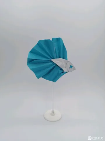 Betta Fish