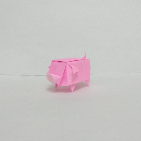 Box pig