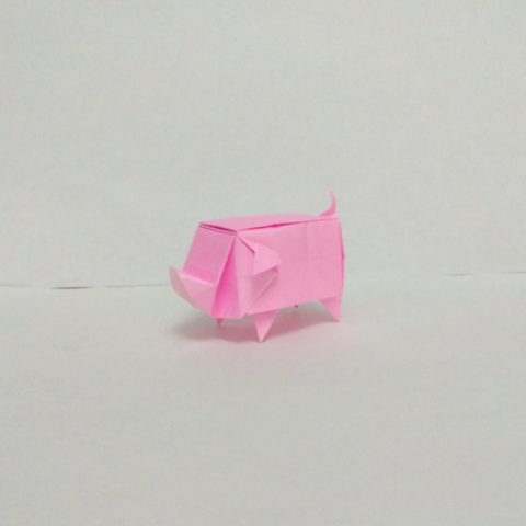 Box pig